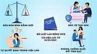 Bình Luận Luật Lao Động 2019