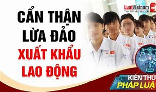 Cty Xklđ Vinamex Việt Nam Lừa Đảo Không Người Sống