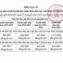 Học Phí Tại Ila Tphcm 2024 Pdf Download Gratis Pdf