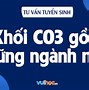 Khối C03 Neu