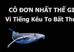 Tần Số Cô Đơn Nhất Thế Giới